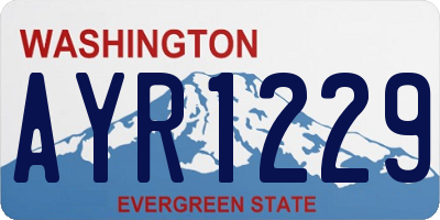 WA license plate AYR1229