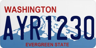 WA license plate AYR1230