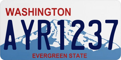 WA license plate AYR1237