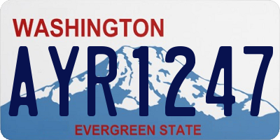 WA license plate AYR1247