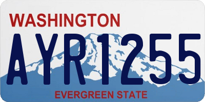 WA license plate AYR1255