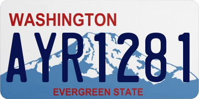 WA license plate AYR1281