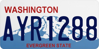 WA license plate AYR1288