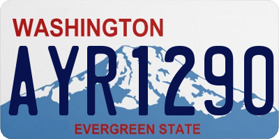 WA license plate AYR1290