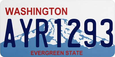 WA license plate AYR1293