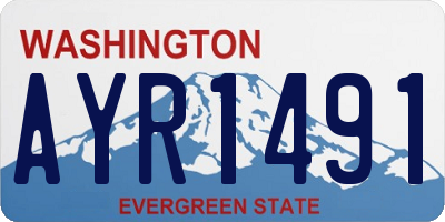 WA license plate AYR1491