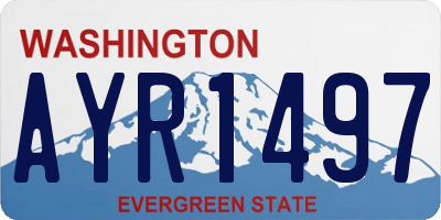 WA license plate AYR1497