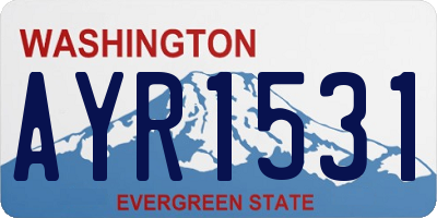 WA license plate AYR1531