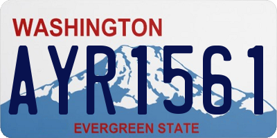 WA license plate AYR1561