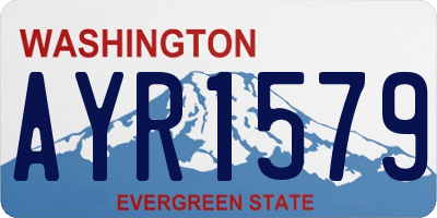 WA license plate AYR1579