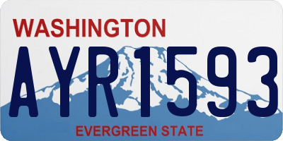 WA license plate AYR1593