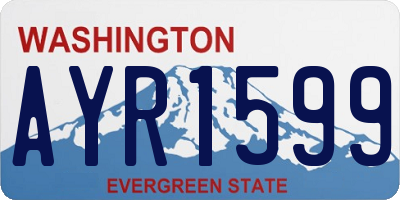 WA license plate AYR1599