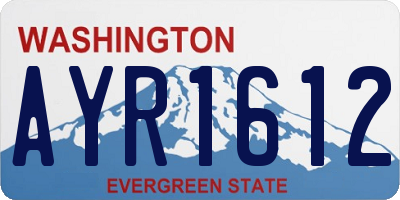 WA license plate AYR1612
