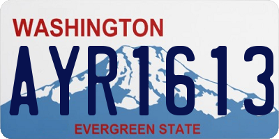 WA license plate AYR1613