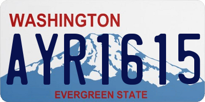 WA license plate AYR1615