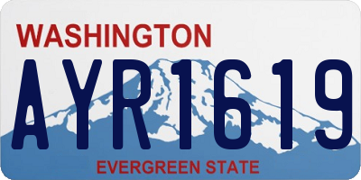 WA license plate AYR1619
