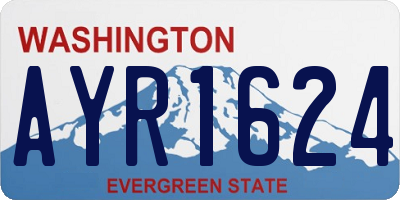WA license plate AYR1624