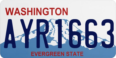 WA license plate AYR1663