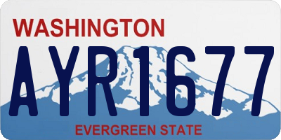 WA license plate AYR1677