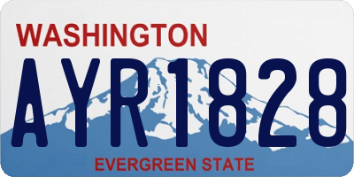 WA license plate AYR1828