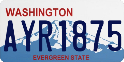 WA license plate AYR1875