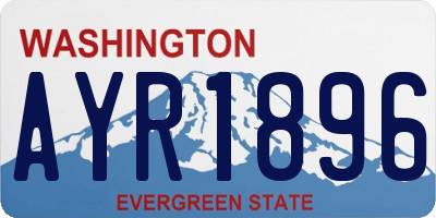 WA license plate AYR1896