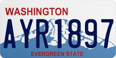 WA license plate AYR1897