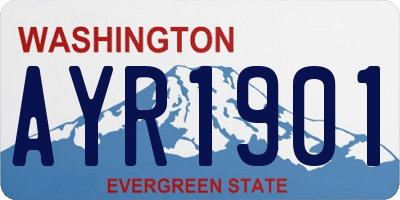WA license plate AYR1901