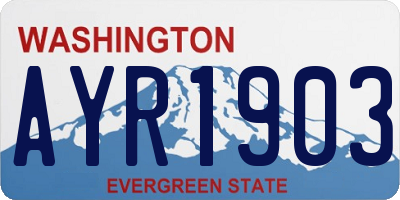 WA license plate AYR1903