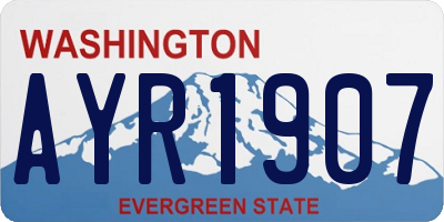 WA license plate AYR1907