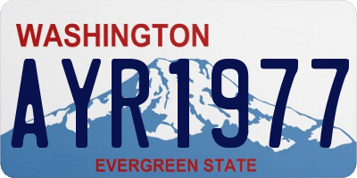 WA license plate AYR1977