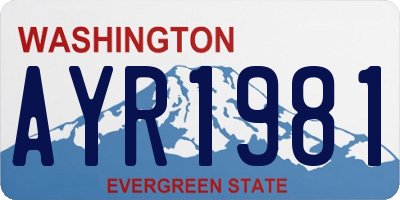 WA license plate AYR1981