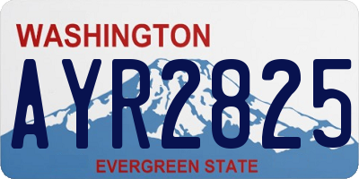 WA license plate AYR2825