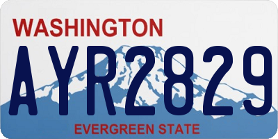 WA license plate AYR2829