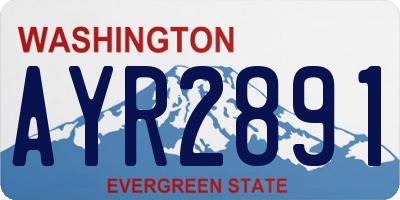 WA license plate AYR2891