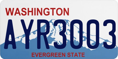 WA license plate AYR3003