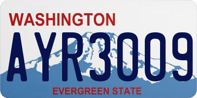 WA license plate AYR3009