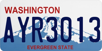 WA license plate AYR3013