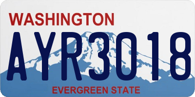 WA license plate AYR3018