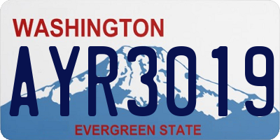 WA license plate AYR3019