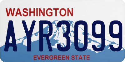 WA license plate AYR3099
