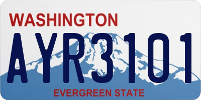 WA license plate AYR3101
