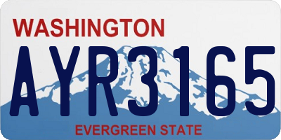 WA license plate AYR3165
