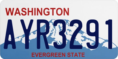 WA license plate AYR3291
