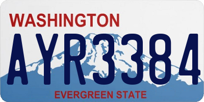 WA license plate AYR3384