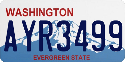 WA license plate AYR3499