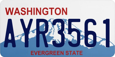 WA license plate AYR3561