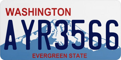 WA license plate AYR3566