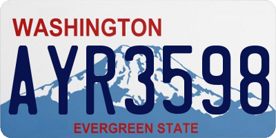 WA license plate AYR3598