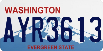 WA license plate AYR3613